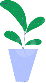 Career%20Craft%20Academy